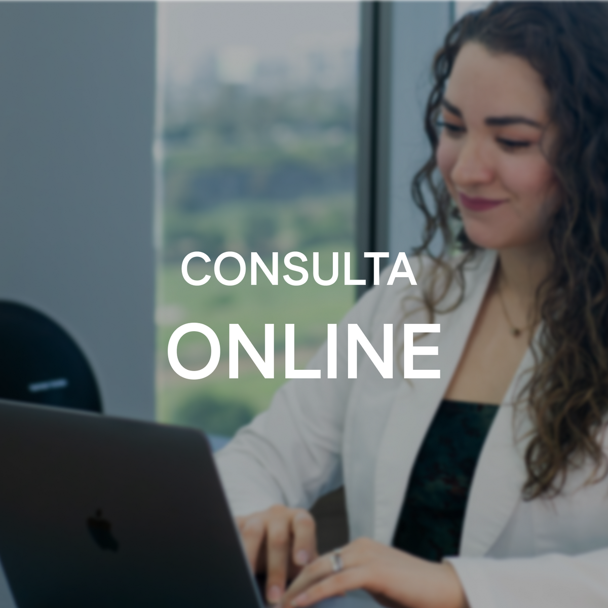 Consulta Online